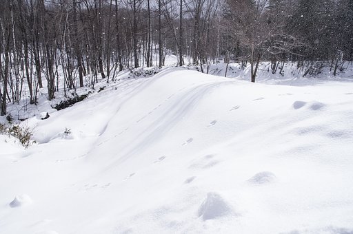 Rabbit Hill（表Ver)