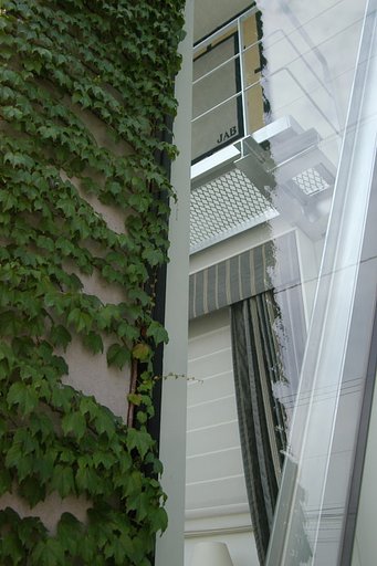 交錯した風景