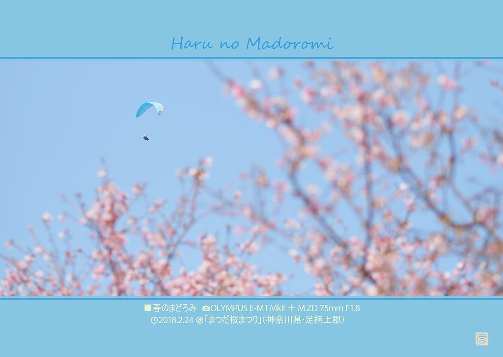 春のまどろみ