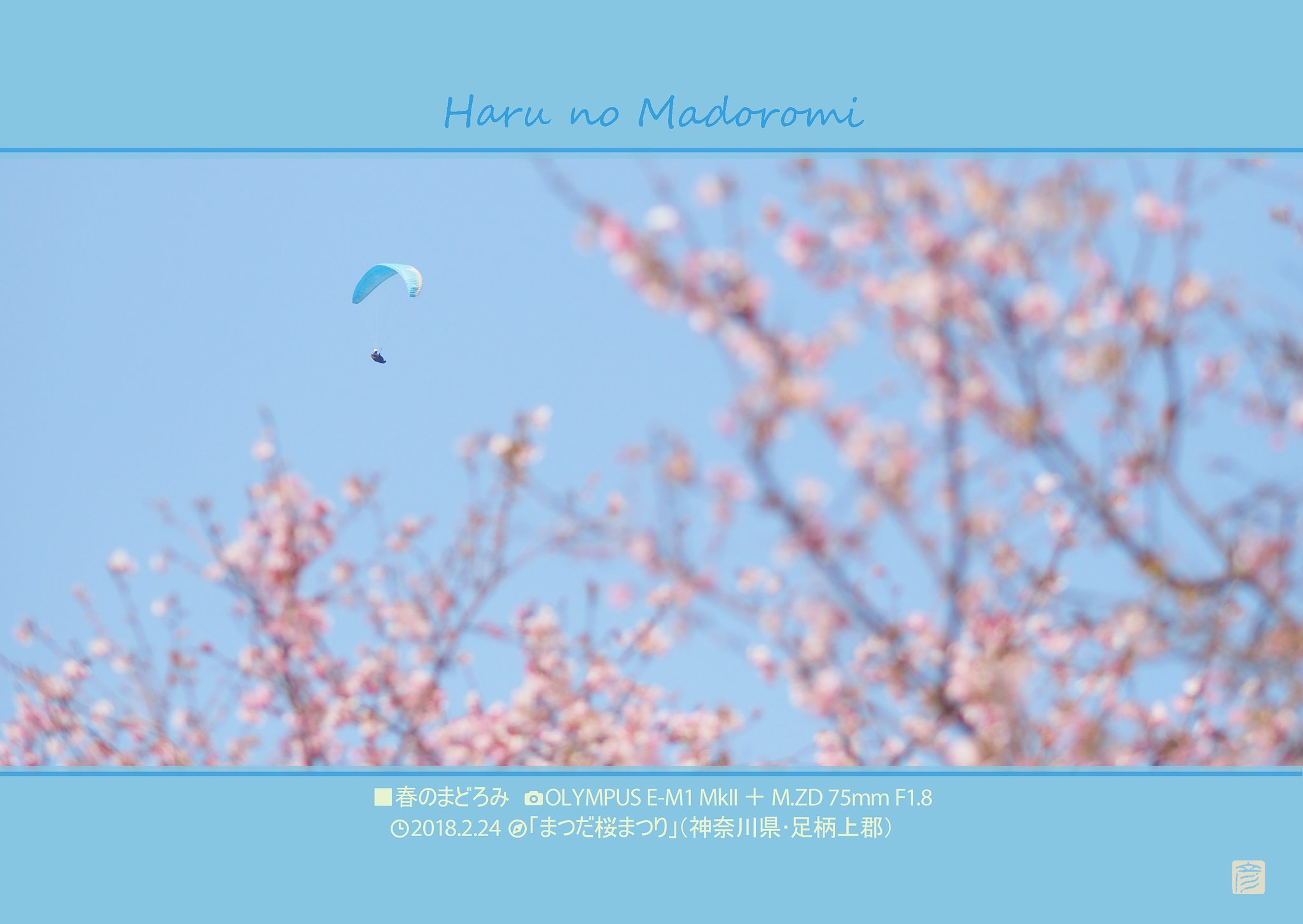 春のまどろみ