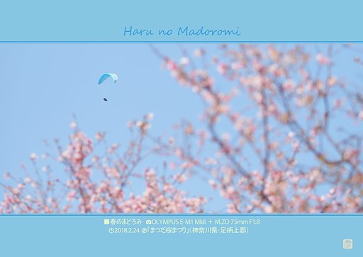 春のまどろみ