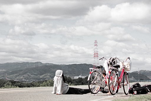 5月23日の写真