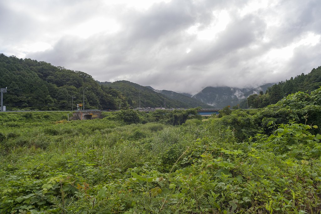 雨上がり