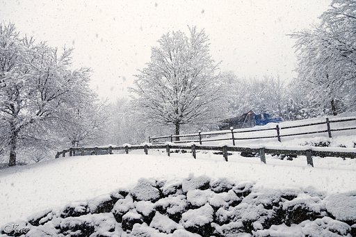今日も、冬続行中😢