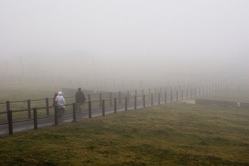 【淡】い写真探して、、
