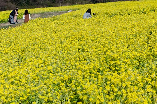 【春景】中に入らないで