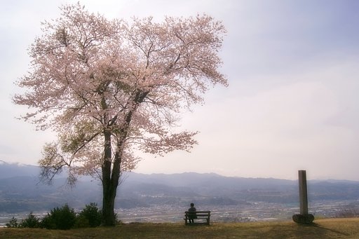 4月のお題はこれだぁ〜！