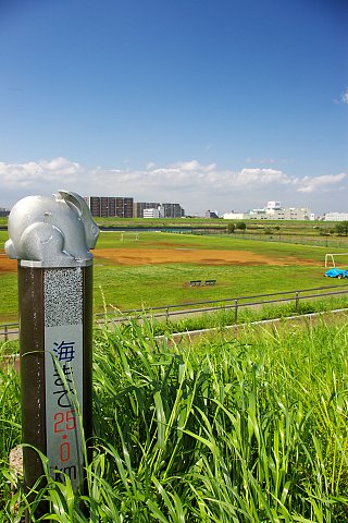 荒川観光写真