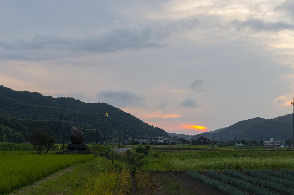 日没