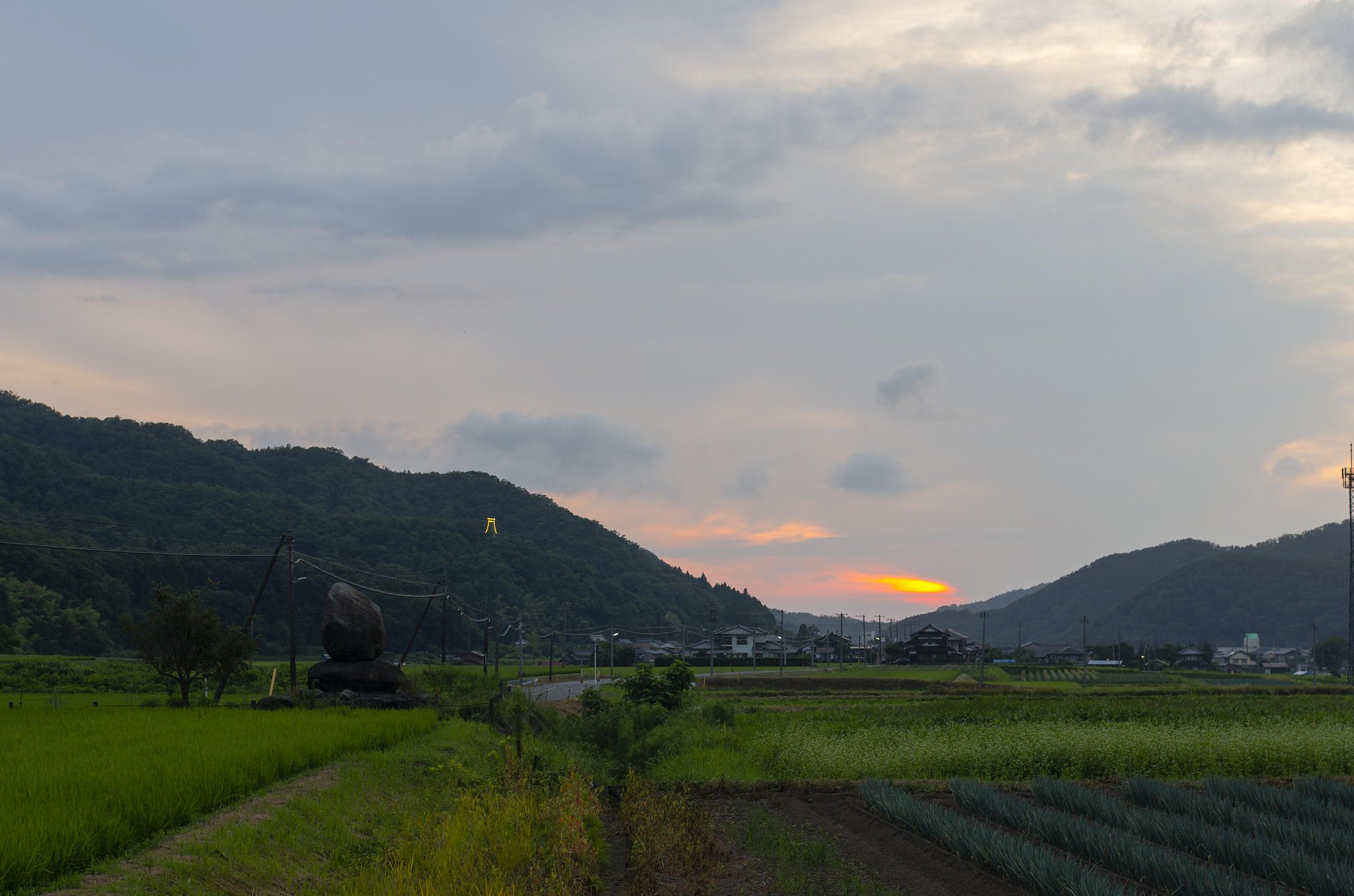 日没