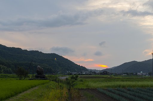 日没