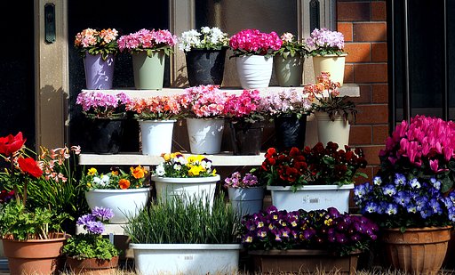 【春景】　玄関の花