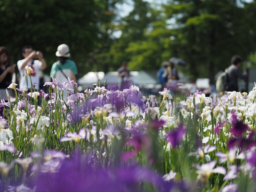 花たちに見守られて