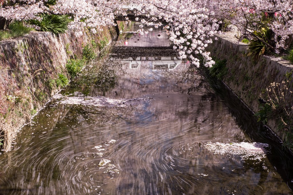 流るる春。。（横構図Ver）
