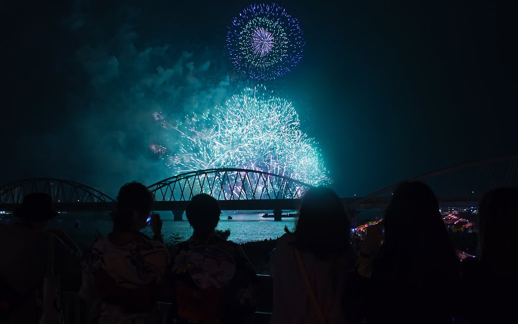 【夏】淀の夜空華観覧　II