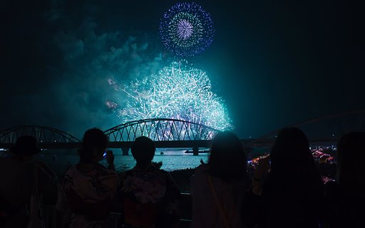 【夏】淀の夜空華観覧　II