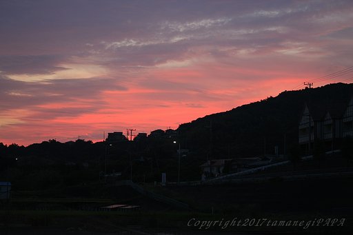 夕焼け2