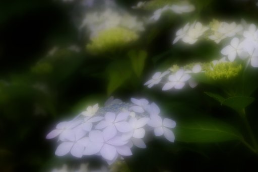 舞う