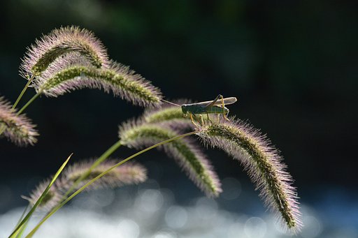 9月12日の写真