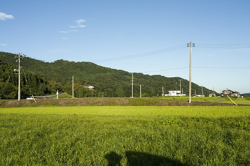 航空防除