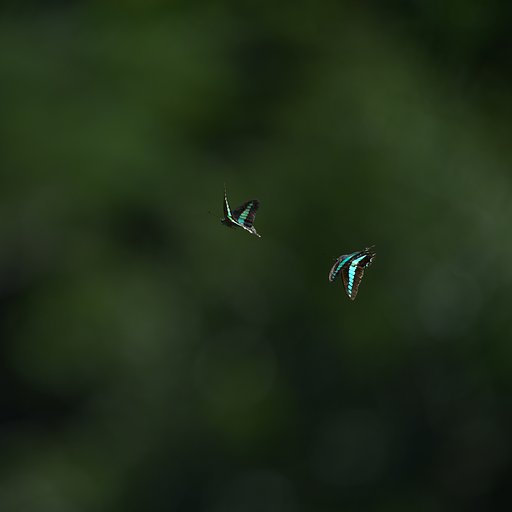 追いかけ