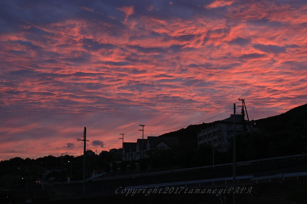 夕焼け3