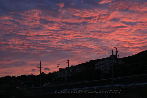 夕焼け3