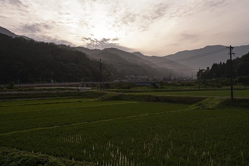 朝日の出？