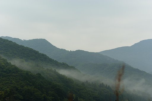 朝もや