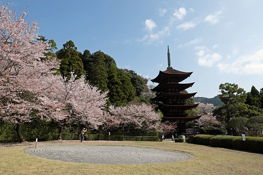 桜とおじさん