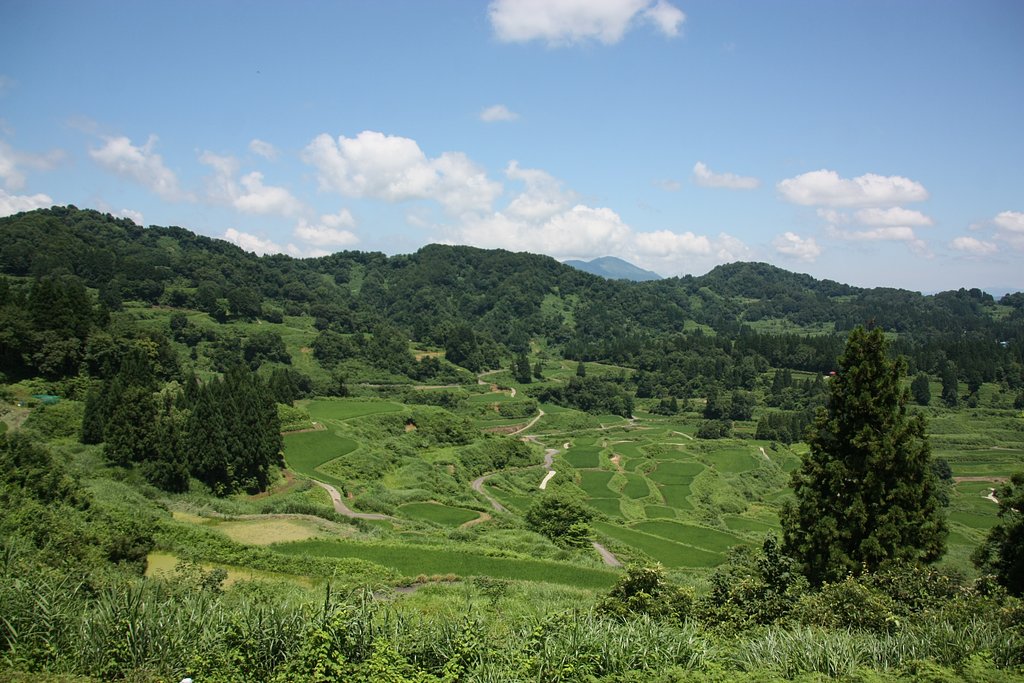 星峠の棚田