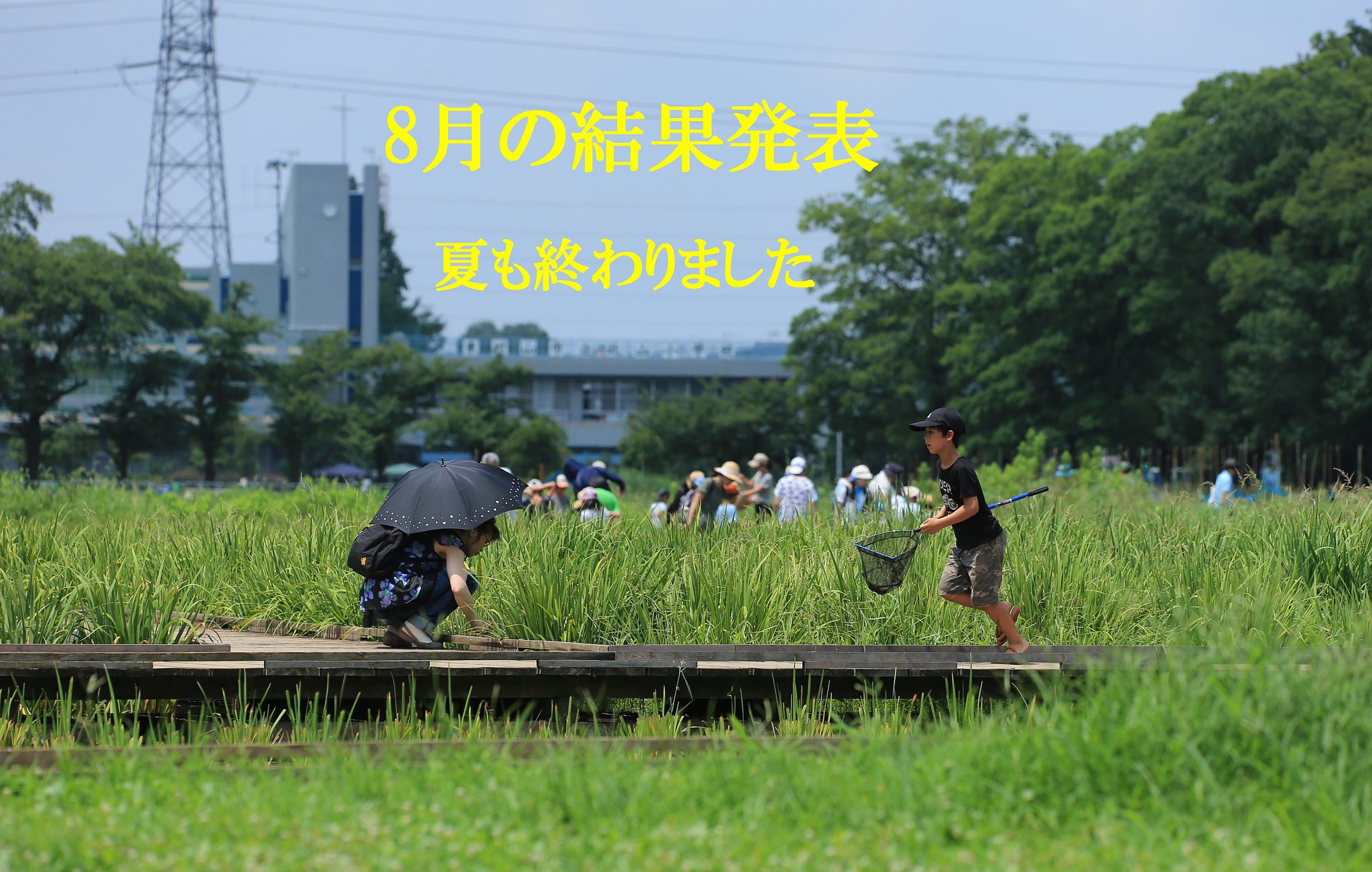 8月の結果発表