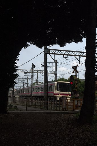 森の出口で