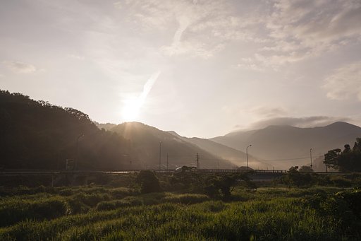 晴れた朝