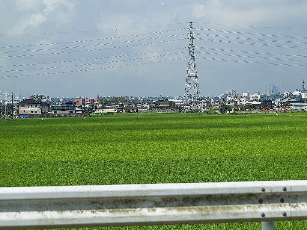 初夏の風景
