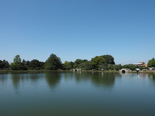 本当、久々ですよ。