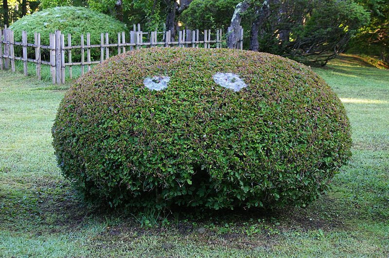 じろり