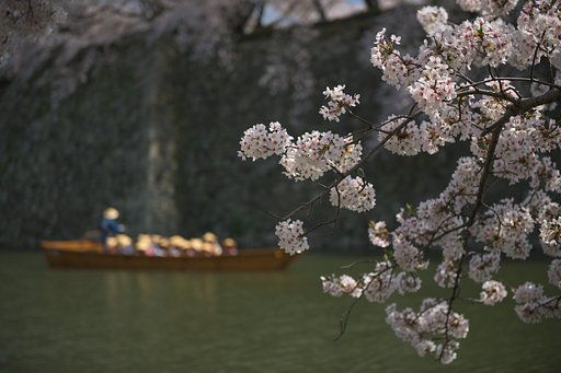 お堀を巡る