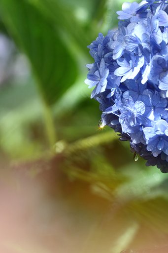 梅雨の太陽