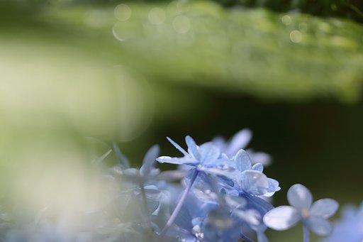 雨上がり