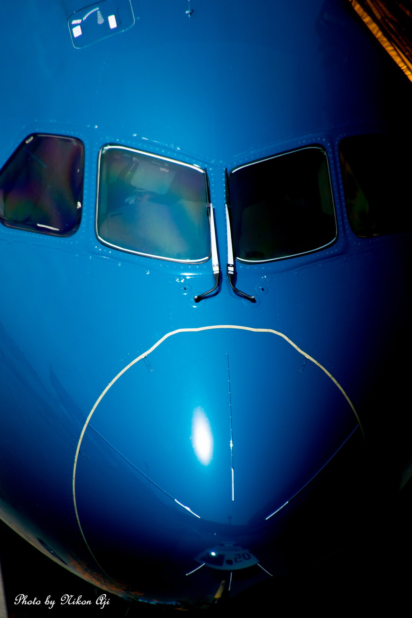 VietnamAirlines　B-787
