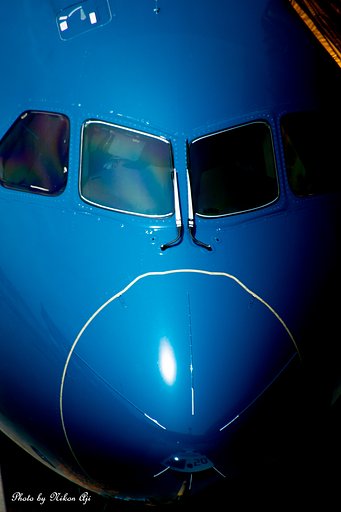 VietnamAirlines　B-787