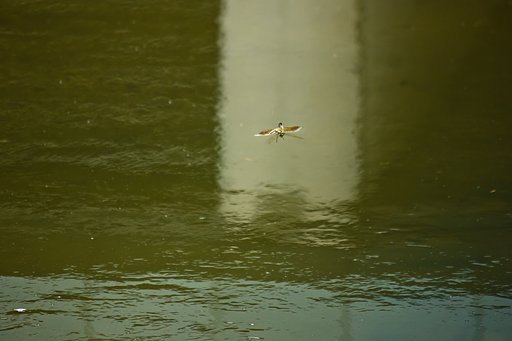 アクロバット飛行