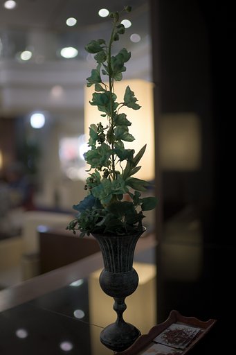 The　Lobby