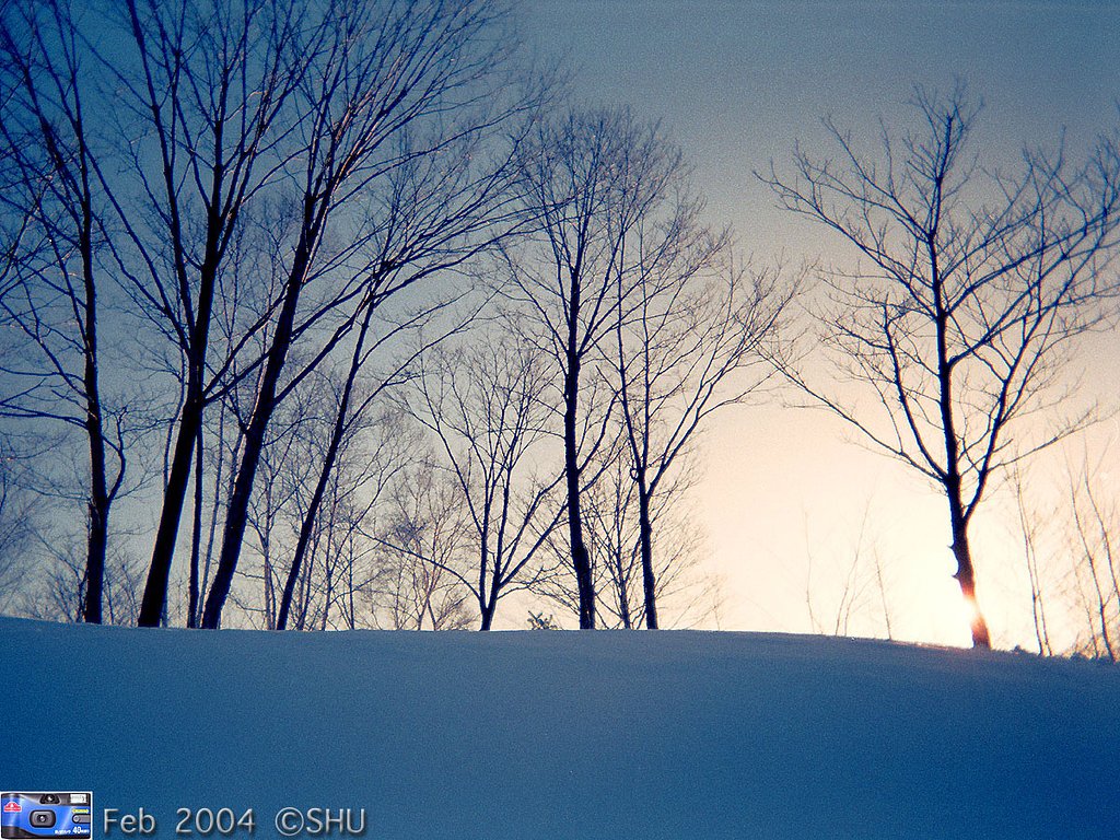 雪丘