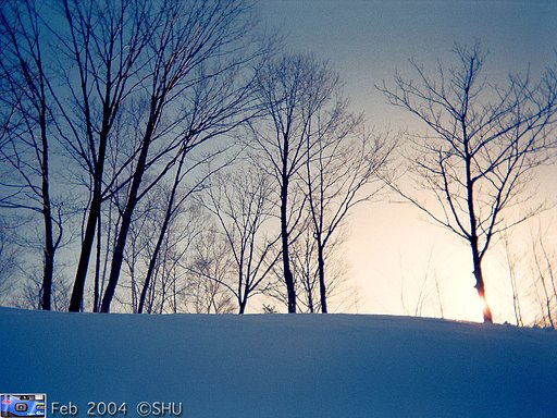 雪丘