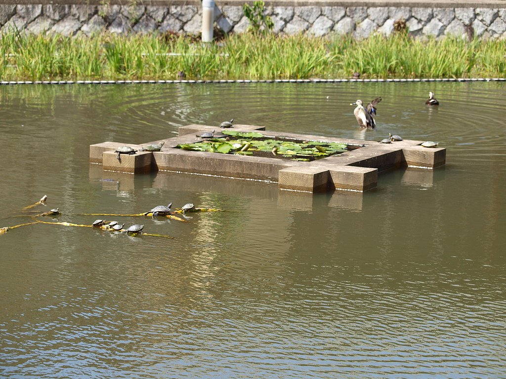 楽しくワイワイ