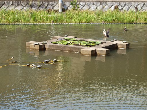 楽しくワイワイ