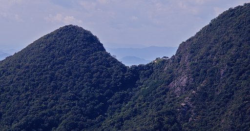 再現像