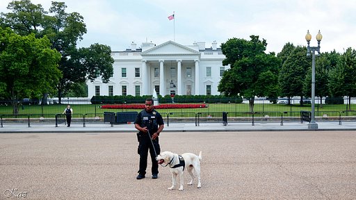 Secret Service Police Dog